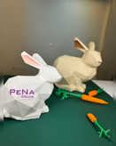 پکیج بهاری خرگوش بانی