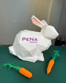 پکیج بهاری خرگوش بانی