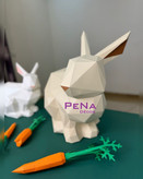 پکیج بهاری خرگوش بانی