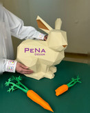 پکیج بهاری خرگوش بانی