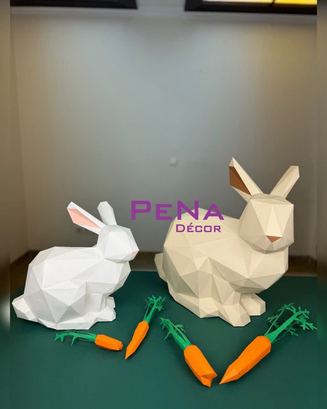 پکیج بهاری خرگوش بانی