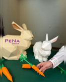 پکیج بهاری خرگوش بانی