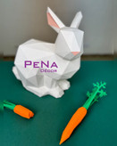 پکیج بهاری خرگوش بانی