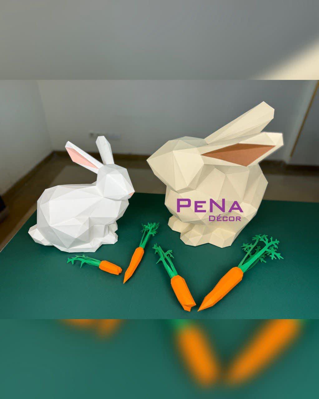 پکیج بهاری خرگوش بانی