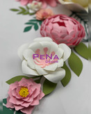 گلهای دکوراتیو